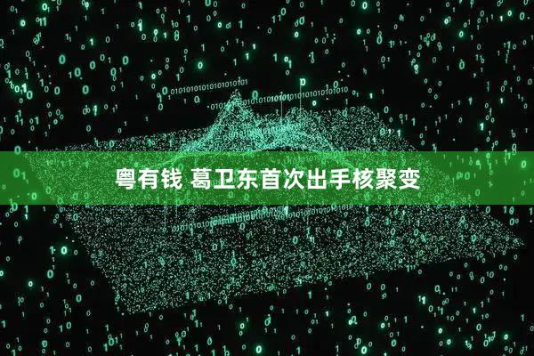 粤有钱 葛卫东首次出手核聚变